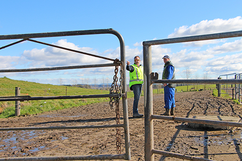 11 Farm advice StockRock The ultimate surface for your farm race