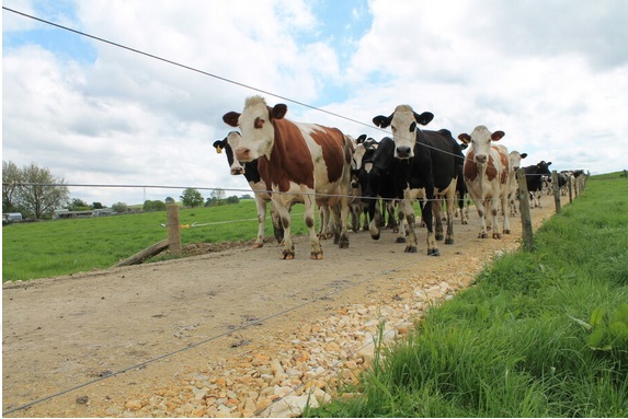 StockRock farm surface