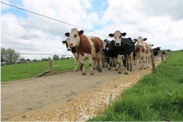 StockRock farm surface