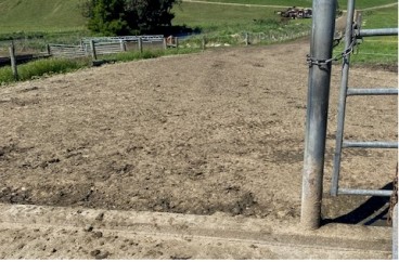 stockrock farm race on a taranaki farm