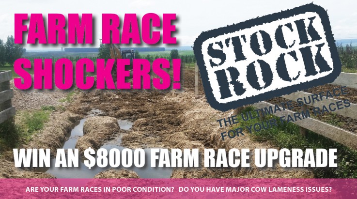 WIN 8000 FarmRace upgrade with StockRock